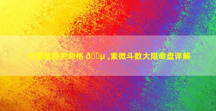 大限紫府夹命格 🐵 ,紫微斗数大限命盘详解